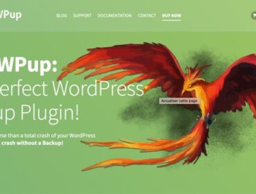 10 plugins pour sauvegarder un site WordPress